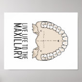 "Naar het Maxillary"-Poster Poster (Voorkant)