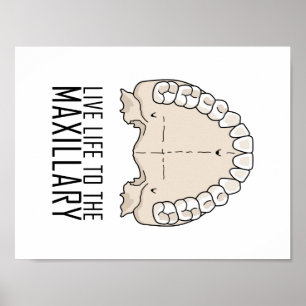 "Naar het Maxillary"-Poster Poster