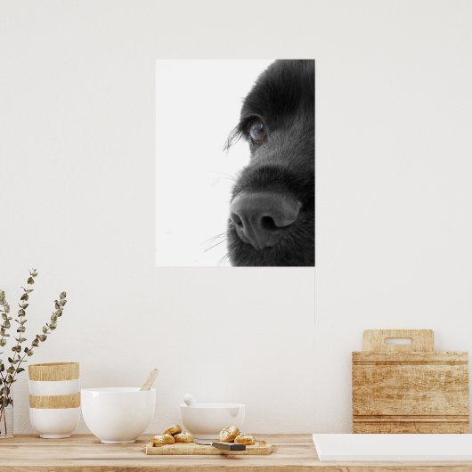 Naar het portret van de colate Cocker Spaniel Poster (Keuken)