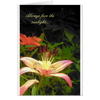 Naar het zonlicht kijken