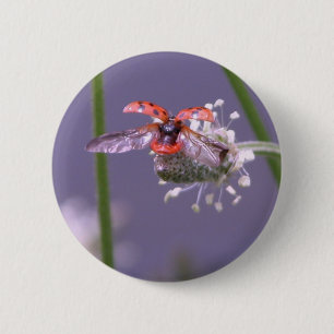 Naar huis vliegen ronde button 5,7 cm