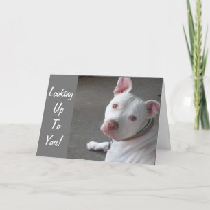 NAAR JE KIJKEN OM MIJN VRIEND TE GAAN KAART