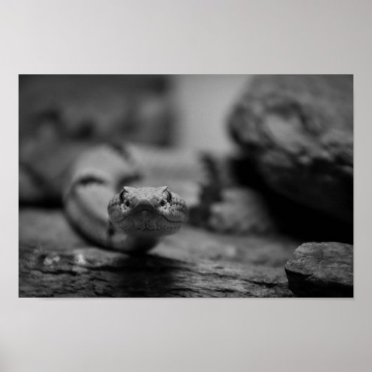 naar jou kijken poster (Voorkant)