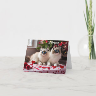 Naar mijn liefde - kat Valentijn of kerst Kaart