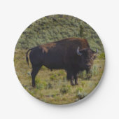 Naar wie je kijkt papieren bordje (Voorkant)