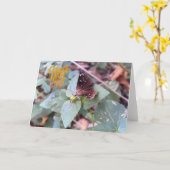 N'abandonnez jamais la carte de voeux papillon vid (Fleur jaune)