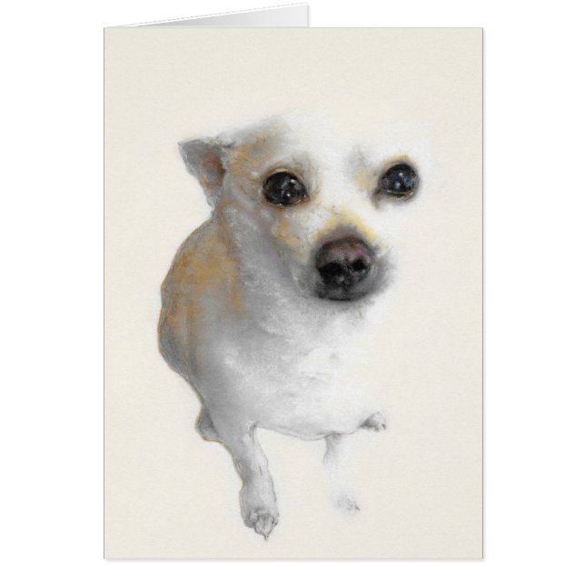Nacho, de witte Chihuahua-kaart (Voorkant)