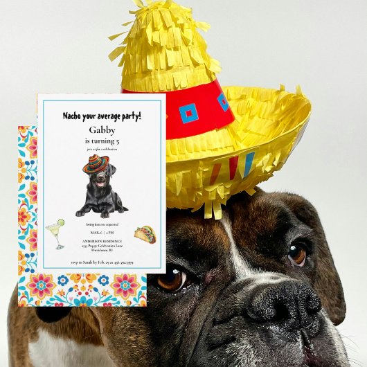 Nacho Votre Moyenne Chien Sombrero Invitation