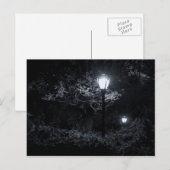 Nacht in Central Park, NYC Briefkaart (Voorkant / Achterkant)