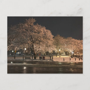 Nacht Sneeuw Salem Common Massachusetts Foto Briefkaart
