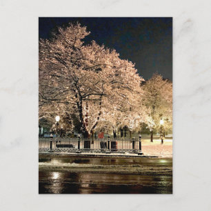 Nacht Sneeuwstorm Salem Common Massachusetts Foto Briefkaart