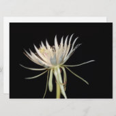 Nachtbloeiende cactus-bloemkaart (Voorkant / Achterkant)