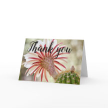 Nachtbloeiende cactusbloem dank je