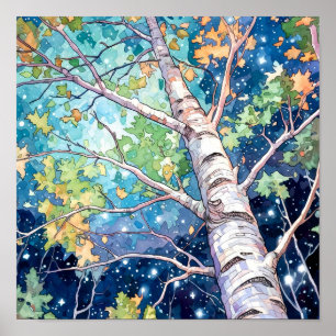 Nachtboslandschap Home Decor Poster