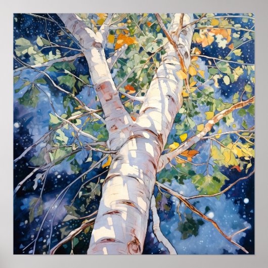 Nachtboslandschap Home Decor Poster (Voorkant)