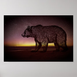 Nachtelijk Beer en Aurora Borealis Poster