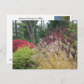 Nachtelijke schoonheid in Ohio Briefkaart (Voorkant / Achterkant)