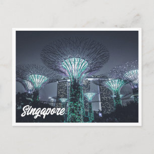 Nachtfoto van Singapore Gardens Briefkaart