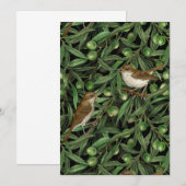 Nachtingales van de olijfboom 3 (Voorkant / Achterkant)