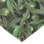 Nachtingales van de olijfboom 3 tafelkleed (Gekanteld)