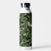 Nachtingales van de olijfboom 3 waterfles (Links)