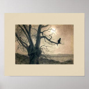 Nachtkatje in het Poster van de boom