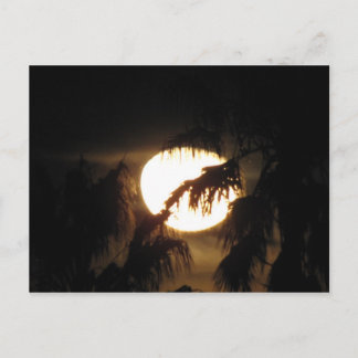 nachtmaan briefkaart