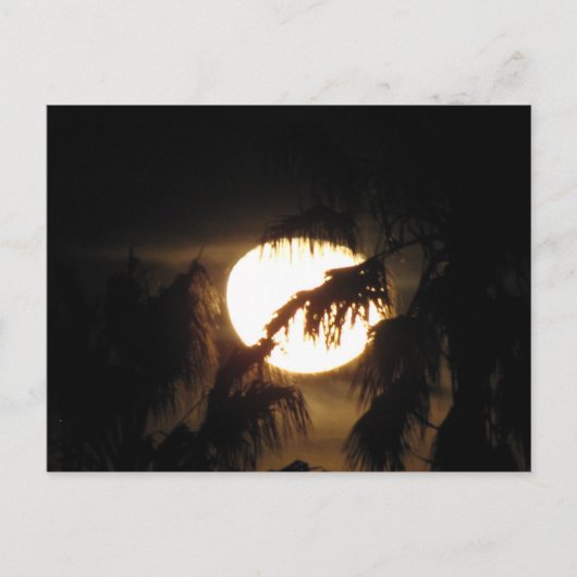 nachtmaan briefkaart (Voorkant)