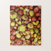 Nachtnoten en conkers legpuzzel (Verticaal)