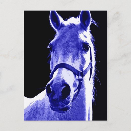nachtpaard briefkaart (Voorkant)