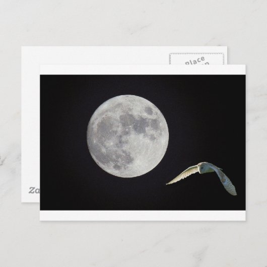 Nachtuil Briefkaart (Voorkant / Achterkant)