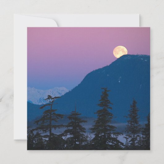 Nachtval in Alaska Kaart (Voorkant)