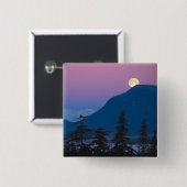Nachtval in Alaska Vierkante Button 5,1 Cm (Voorkant /achterkant)