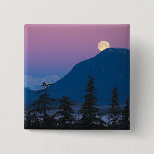 Nachtval in Alaska Vierkante Button 5,1 Cm