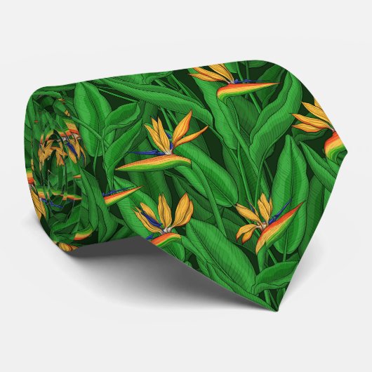 Nachtvogel van de paradijstuin stropdas (Opgerold)