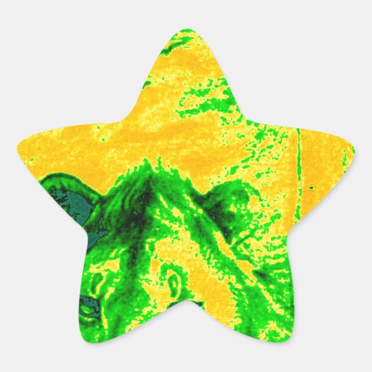 Nachtzicht Lion Art Fluorescerende Print Ster Sticker (Voorkant)