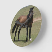 Nacoma Mustang Ronde Klok (Hoek)