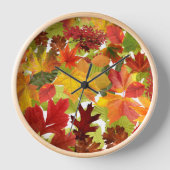 Nafakkelen  (Voorkant)