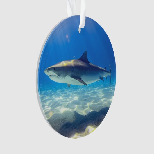 Nage des requins Eau bleue (devant)