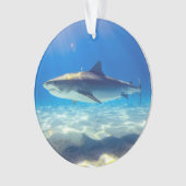 Nage des requins Eau bleue (devant)