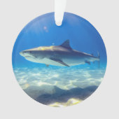 Nage des requins Eau bleue (devant)