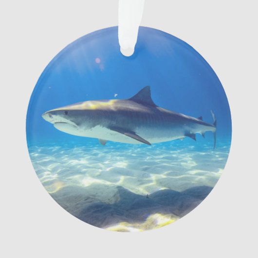 Nage des requins Eau bleue (devant)