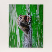 Nage Lion de mer de près, Puzzle (Vertical)