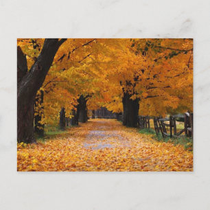 Naherfst omlaag lopen van de geheugenlijn briefkaart