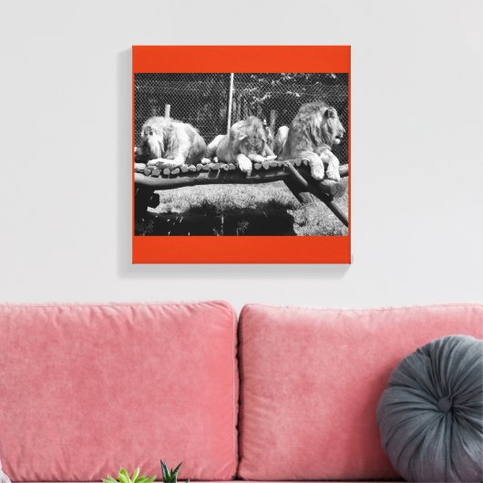 Nairobi Lions - B&W Canvas Afdruk (Insitu (Woonkamer))
