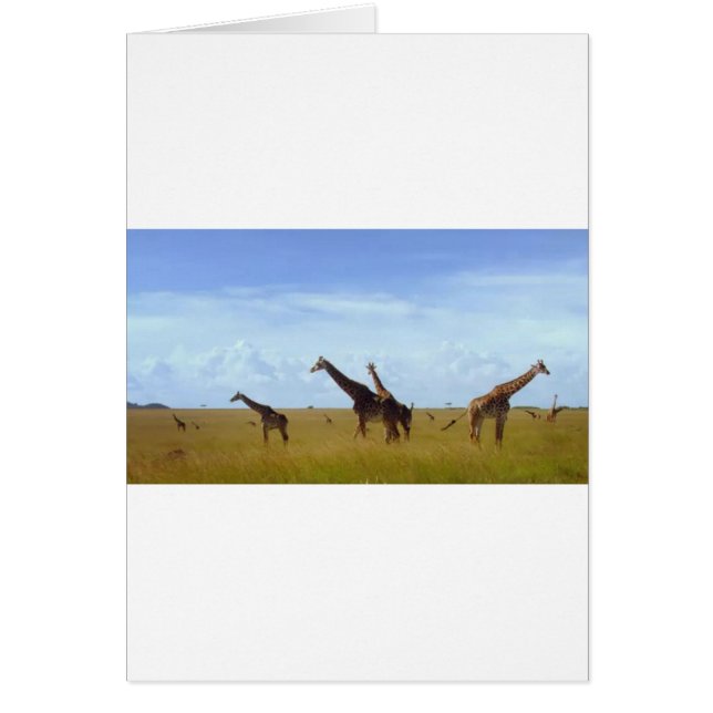 Nairobi National Park Giraffes (Voorkant)