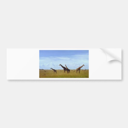 Nairobi National Park Giraffes Bumpersticker (Voorkant)