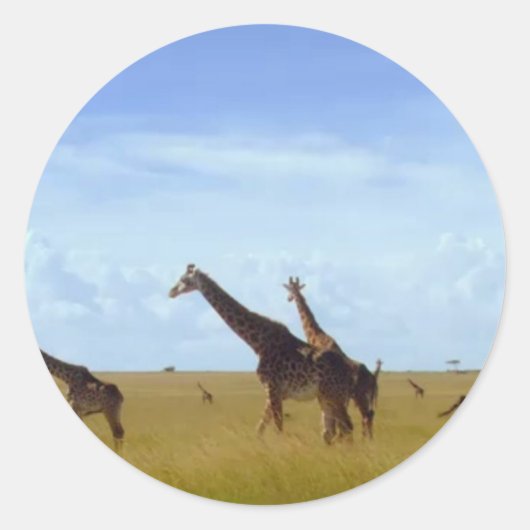Nairobi National Park Giraffes Ronde Sticker (Voorkant)