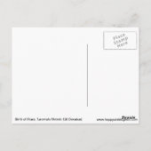 Naissance d'étoiles Carte postale cosmique (Dos)