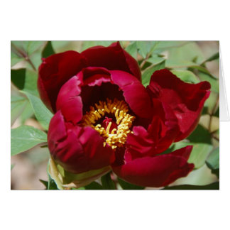 Naissance d'une couleur II
